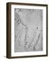 Studies of Legs, of the Bones and Tendons of a Leg, of an Arm-Leonardo Da Vinci-Framed Giclee Print