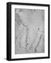 Studies of Legs, of the Bones and Tendons of a Leg, of an Arm-Leonardo Da Vinci-Framed Giclee Print