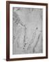 Studies of Legs, of the Bones and Tendons of a Leg, of an Arm-Leonardo Da Vinci-Framed Giclee Print