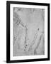 Studies of Legs, of the Bones and Tendons of a Leg, of an Arm-Leonardo Da Vinci-Framed Giclee Print