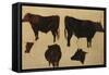 Studies of Long Horned Cattle (Oil on Board)-Richard Ansdell-Framed Stretched Canvas