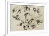 Studies of Masturbation, Plate 40 of 'Liebe-Mihaly von Zichy-Framed Giclee Print