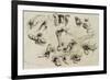 Studies of Masturbation, Plate 40 of 'Liebe-Mihaly von Zichy-Framed Giclee Print