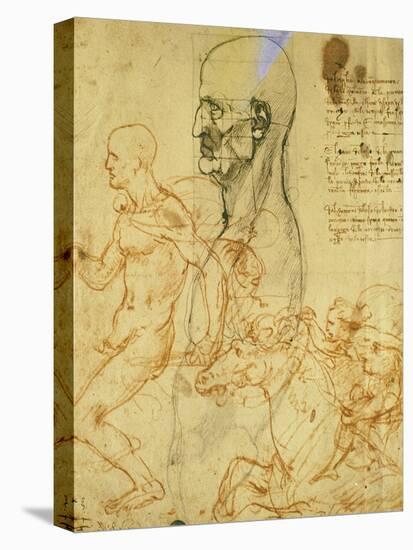 Studies of Proportions and for the Battle of Anghiari-Leonardo da Vinci-Stretched Canvas