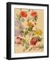 Studies of Summer Flowers-Jacques-Laurent Agasse-Framed Giclee Print
