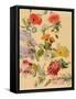 Studies of Summer Flowers-Jacques-Laurent Agasse-Framed Stretched Canvas