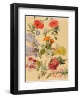 Studies of Summer Flowers-Jacques-Laurent Agasse-Framed Giclee Print