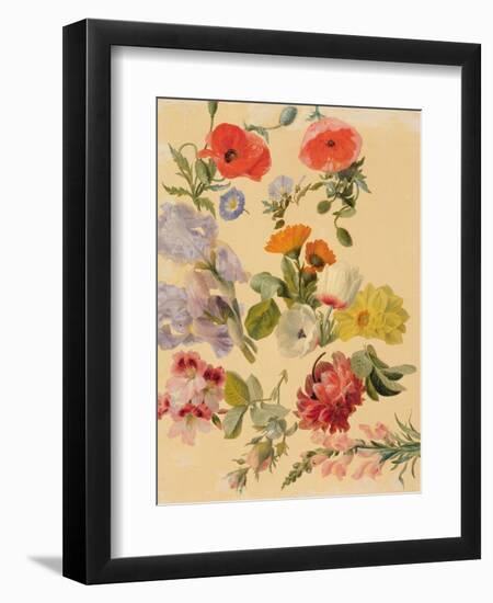 Studies of Summer Flowers-Jacques-Laurent Agasse-Framed Giclee Print