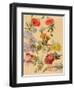 Studies of Summer Flowers-Jacques-Laurent Agasse-Framed Giclee Print