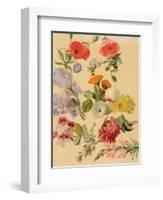 Studies of Summer Flowers-Jacques-Laurent Agasse-Framed Giclee Print