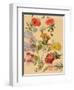 Studies of Summer Flowers-Jacques-Laurent Agasse-Framed Giclee Print