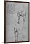 'Studies of the Fore-Quarters and of the Hind-Quarters of a Horse', c1480 (1945)-Leonardo Da Vinci-Framed Giclee Print