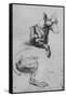 'Studies of the Forepart and Hind-Quarters of a Dog', c1480 (1945)-Leonardo Da Vinci-Framed Stretched Canvas
