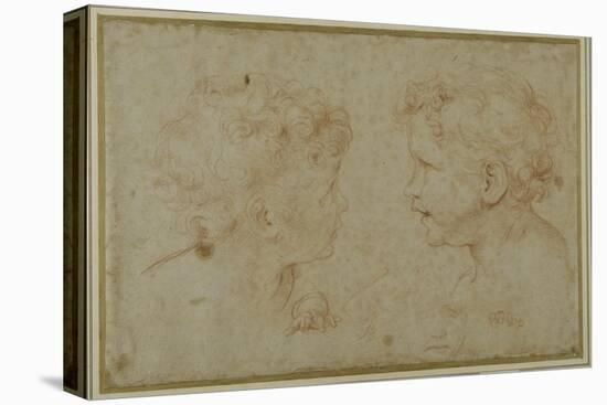 Studies of the Head and Left Hand of a Putto-Carlo Maratti-Stretched Canvas