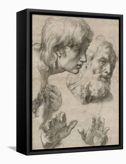 Studies of the Heads of Two Apostles and of their Hands-Raphael-Framed Stretched Canvas