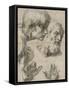 Studies of the Heads of Two Apostles and of their Hands-Raphael-Framed Stretched Canvas