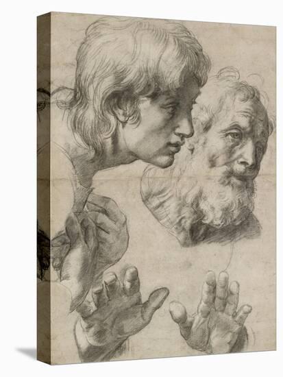 Studies of the Heads of Two Apostles and of their Hands-Raphael-Stretched Canvas