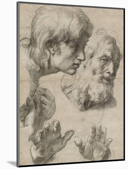 Studies of the Heads of Two Apostles and of their Hands-Raphael-Mounted Giclee Print