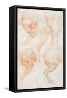 Studies of the Horse Rear Legs-Leonardo da Vinci-Framed Stretched Canvas