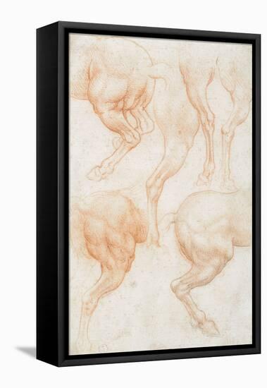 Studies of the Horse Rear Legs-Leonardo da Vinci-Framed Stretched Canvas