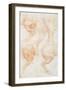 Studies of the Horse Rear Legs-Leonardo da Vinci-Framed Giclee Print