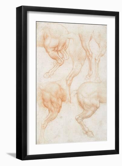 Studies of the Horse Rear Legs-Leonardo da Vinci-Framed Giclee Print
