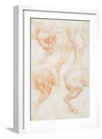 Studies of the Horse Rear Legs-Leonardo da Vinci-Framed Giclee Print