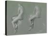 Studies of the Nude-Edward John Poynter-Stretched Canvas