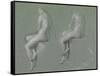 Studies of the Nude-Edward John Poynter-Framed Stretched Canvas