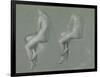 Studies of the Nude-Edward John Poynter-Framed Giclee Print