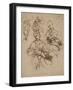 Studies of the Virgin and Child-Raphael-Framed Art Print