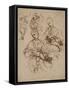 Studies of the Virgin and Child-Raphael-Framed Stretched Canvas