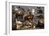 Studies of various Animals and Birds-Carl Borromaus Andreas Ruthart-Framed Premium Giclee Print