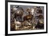 Studies of various Animals and Birds-Carl Borromaus Andreas Ruthart-Framed Giclee Print