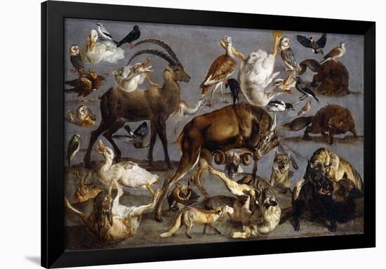 Studies of various Animals and Birds-Carl Borromaus Andreas Ruthart-Framed Giclee Print