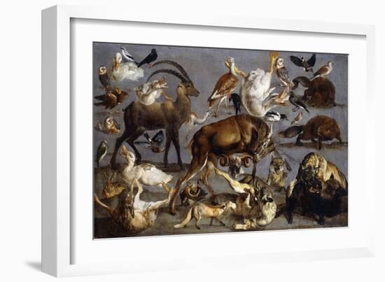 Studies of various Animals and Birds-Carl Borromaus Andreas Ruthart-Framed Giclee Print