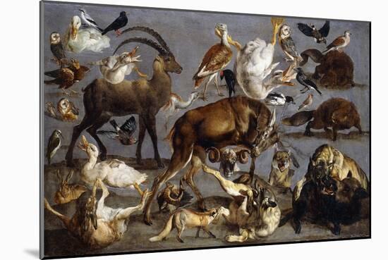 Studies of various Animals and Birds-Carl Borromaus Andreas Ruthart-Mounted Giclee Print