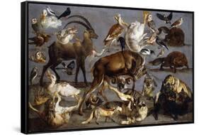 Studies of various Animals and Birds-Carl Borromaus Andreas Ruthart-Framed Stretched Canvas