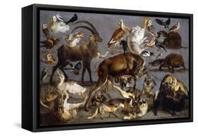 Studies of various Animals and Birds-Carl Borromaus Andreas Ruthart-Framed Stretched Canvas