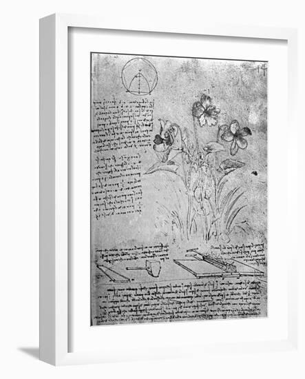 Studies of Violas-Leonardo da Vinci-Framed Giclee Print