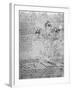 Studies of Violas-Leonardo da Vinci-Framed Giclee Print