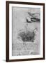 'Studies of Water Formations', c1480 (1945)-Leonardo Da Vinci-Framed Giclee Print