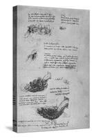 'Studies of Water Formations', c1480 (1945)-Leonardo Da Vinci-Stretched Canvas