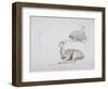 Studies of Young Pallah Deer Resting, C.1802 (W/C and Graphite on Paper)-Samuel Daniell-Framed Giclee Print