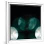 Chelsea White