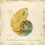 Just the Print