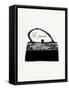 Framed Canvas
