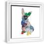 White Frame