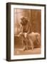 Studio Portrait, Elegant Woman with Two Dogs, France-null-Framed Photographic Print