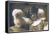 Studio Portrait, Young Woman with Two Dogs-null-Framed Stretched Canvas